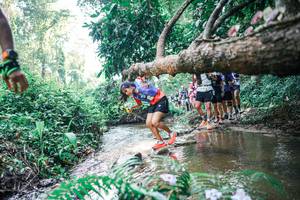 BIB: 
                            <button type="button" onclick="openModal(25460336)" class="btn btn-primary btn-sm float-right btn-popup" data-toggle="modal" data-target=".modal-high-quality">
                        <i class="fas fa-shopping-cart"></i> Add to Cart
                    </button>
                                            <button type="button" onclick="isThisMe(25460336, true)" class="btn btn-success btn-sm float-right btn-popup btn-isme hidden" data-toggle="tooltip" data-placement="bottom" title="นี่คือรูปของคุณใช่ไหม คลิกที่นี่เพื่อเอาเข้าอัลบั้ม">
                        <i class="fas fa-plus"></i> Add to album
                    </button>
                    <button type="button" onclick="isThisMe(25460336, false)" class="btn btn-warning btn-sm float-right btn-popup btn-isnotme hidden">
                        <i class="fas fa-ban"></i> Remove from album
                    </button>